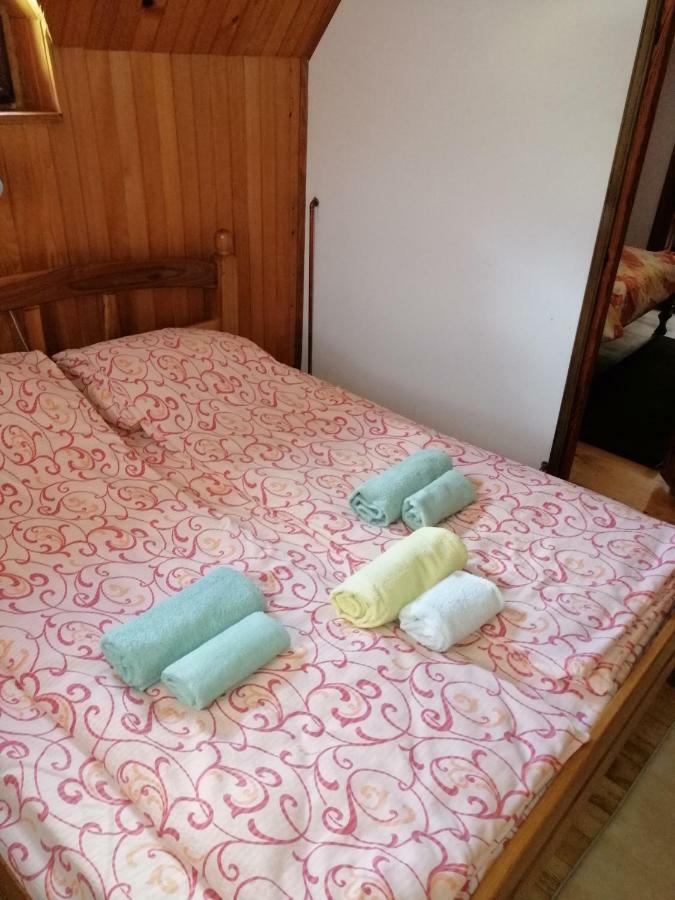 Apartment Skulova Vodenica Mokra Gora Buitenkant foto